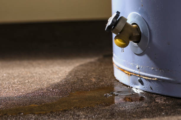 Best Water damage restoration services  in Tinley Park, IL