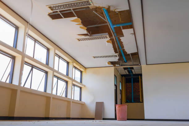 Best Emergency water damage restoration  in Tinley Park, IL