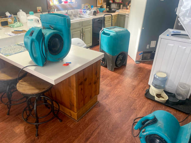 Best Residential water damage restoration  in Tinley Park, IL