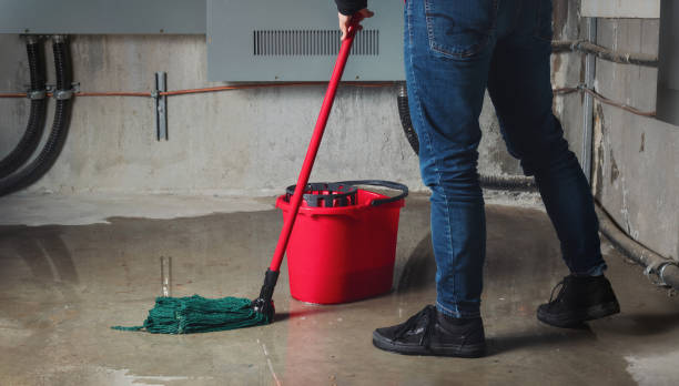 Best Water damage restoration near me  in Tinley Park, IL