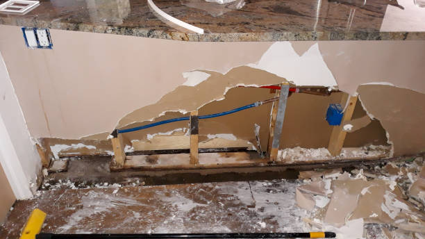 Best Mold removal after water damage  in Tinley Park, IL
