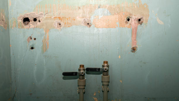Best Water damage cleanup near me  in Tinley Park, IL