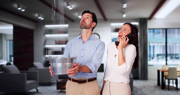 Best Water damage restoration services  in Tinley Park, IL